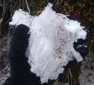 A bizarre ice formation, that grows out of the soil